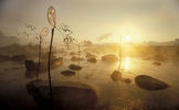 hidden_worlds