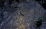 hidden_worlds