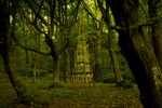 hidden_worlds
