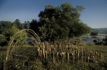 hidden_worlds