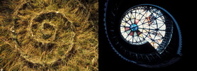 hidden_worlds